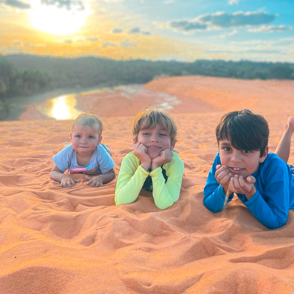 5aa41f15-f557-470a-9482-18523a46294d